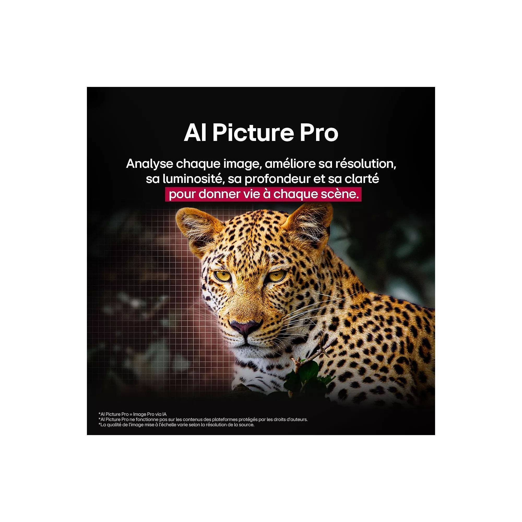 Téléviseur OLED LG OLED65G5 2025 – 65″ (164 cm) – Image 11