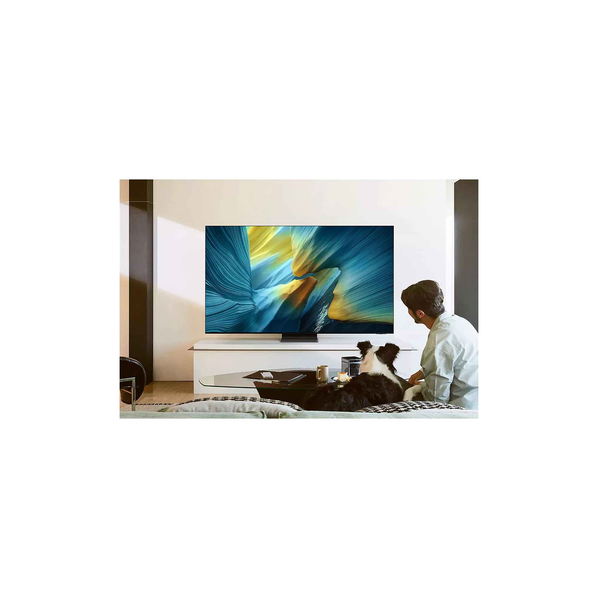 Téléviseur OLED Samsung TQ55S95F – 55″ (138 cm) – Image 12